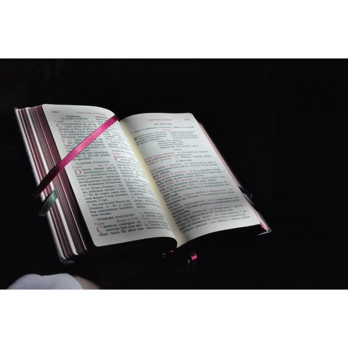 The Roman Diurnal