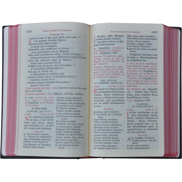The Roman Diurnal